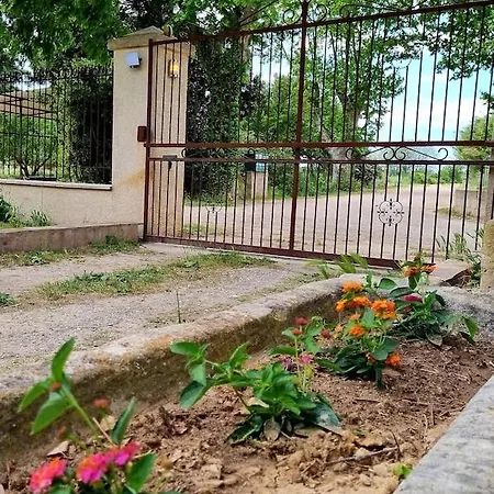 Authentique Mas Provencal Entre Et Camargue